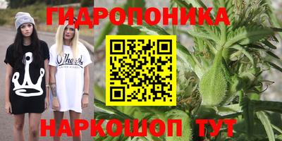 винт Пушкино