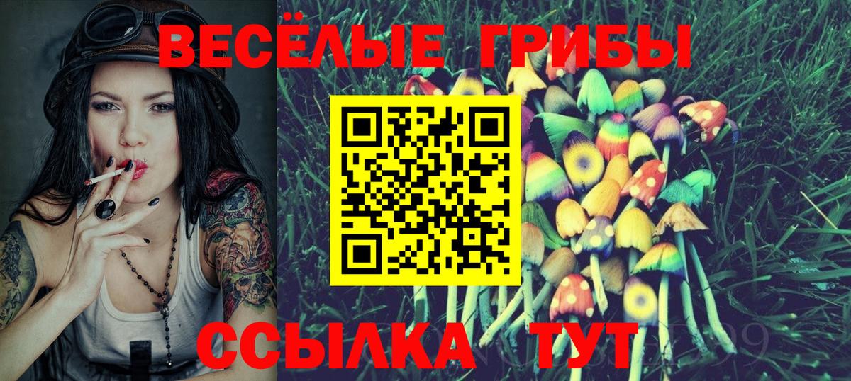 Галлюциногенные грибы мицелий  Вход с VPN  Галлюциногенные грибы Cubensis  Саранск 