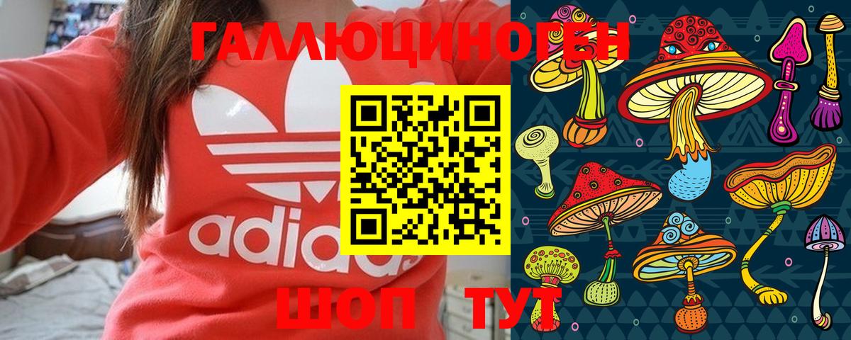 Псилоцибиновые грибы мухоморы Саранск